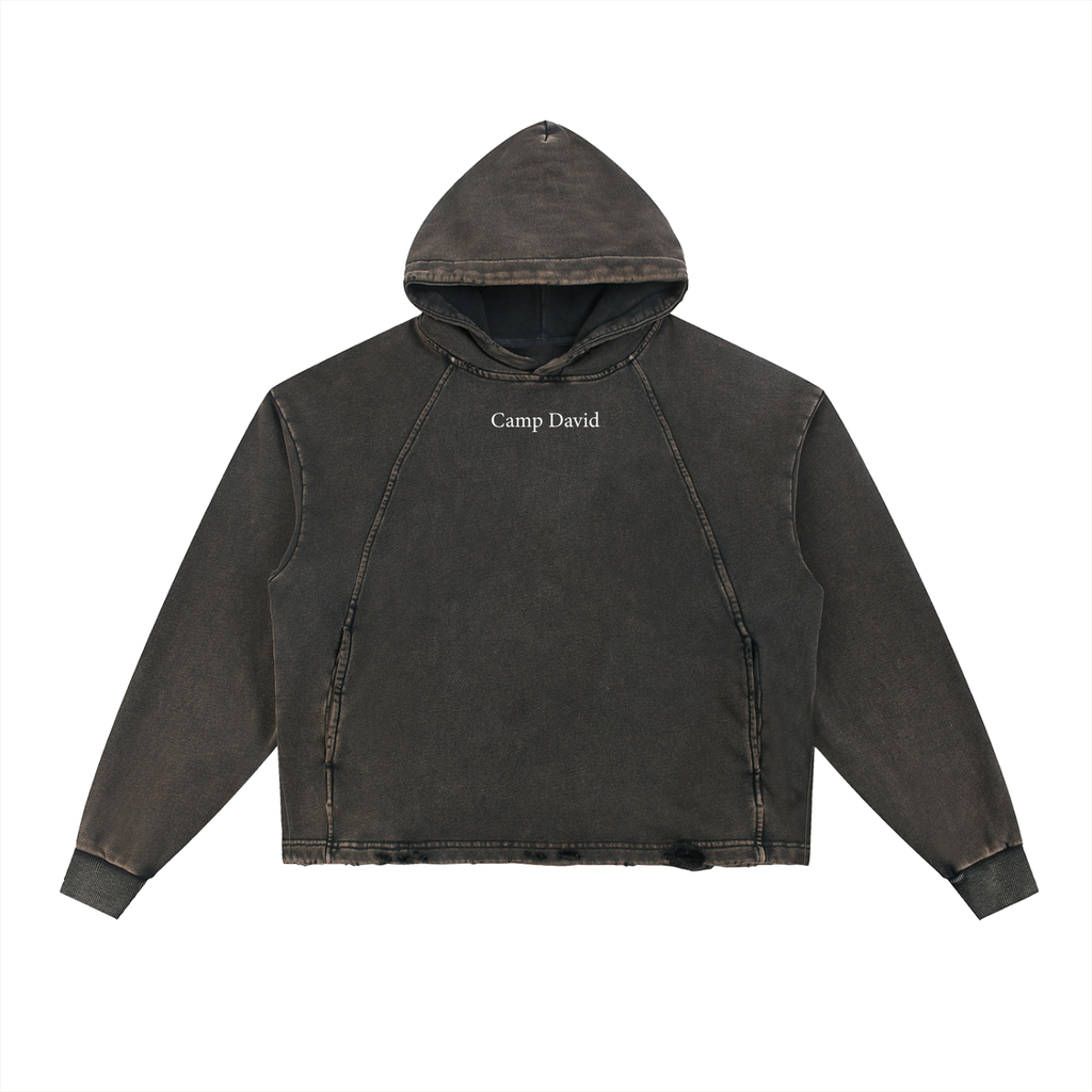 10-14 Frayed Hoodie